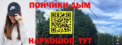 apvp Чапаевск