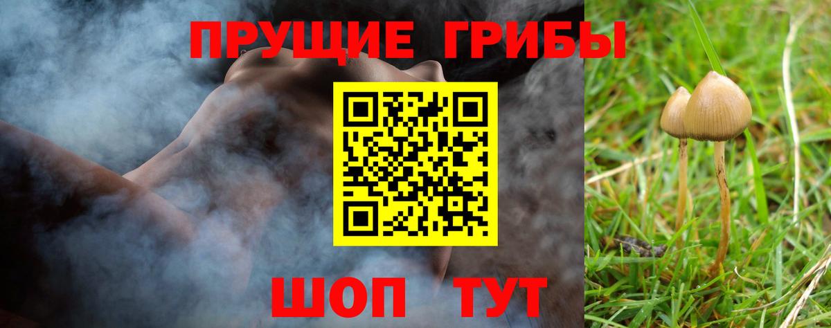 Псилоцибиновые грибы MAGIC MUSHROOMS  Псилоцибиновые грибы Psilocybe  Белово  Вход с VPN 